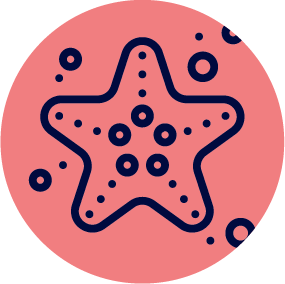 Starfish